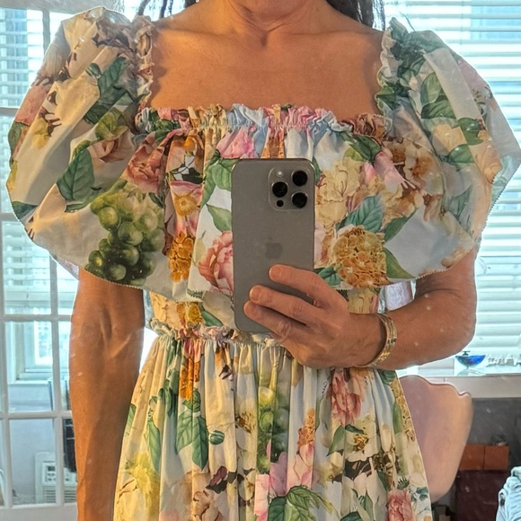 🩵🩷CARA CARA 🩷🩵 Marta Floral Midi Dress size 0 / $595 retail - Picture 14 of 14